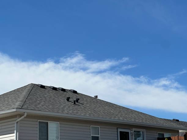Best Roof Maintenance and Cleaning  in Orchard City, CO